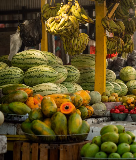 Cesta de Frutas Selecionadas